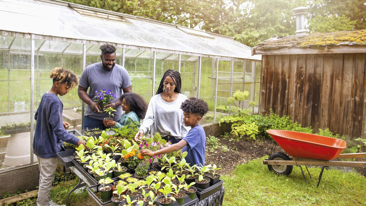 Family helping each other organize plants